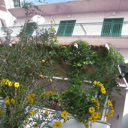 פודגורה Apartman Sulic מראה חיצוני תמונה